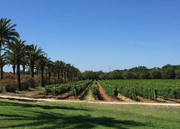 Le Chateau Des Anglades Holiday home
